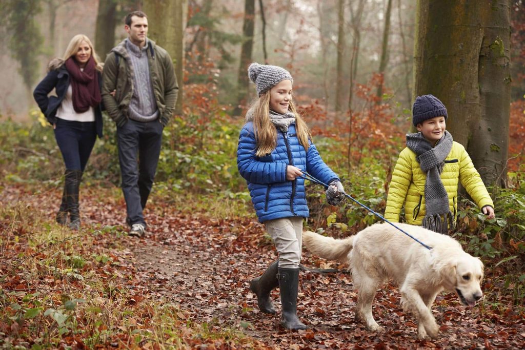 Family walking dog through the woods in the Lake District.