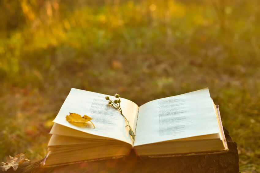 Vintage book of poetry outdoors