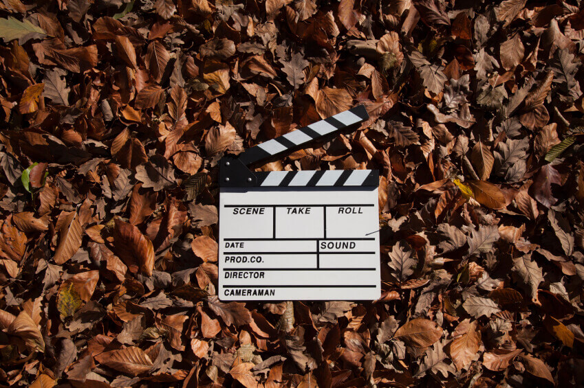 Autumn leaves and empty slate of films.