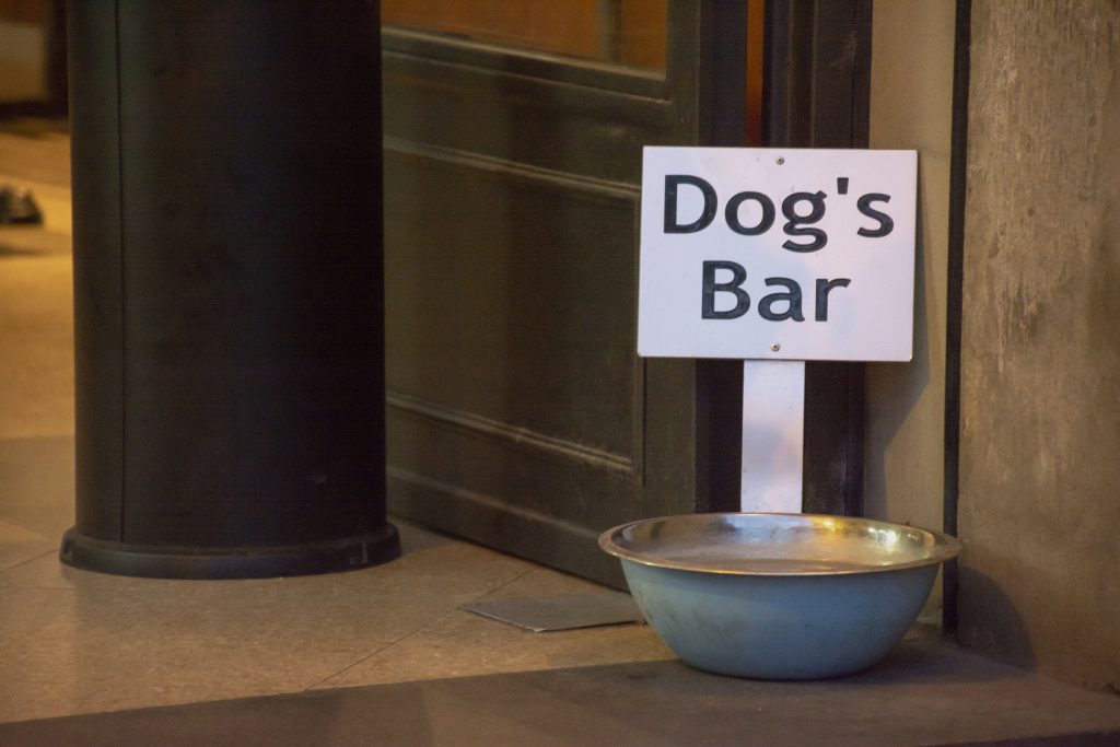 Dog's bar